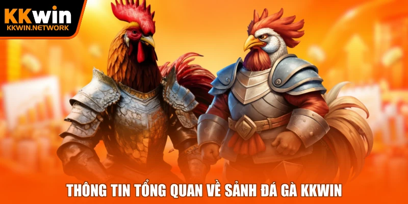 Thông tin tổng quan về sảnh đá gà KKWIN